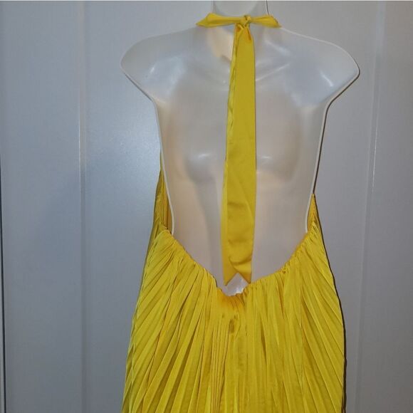 ANTHROPOLOGIE Hutch Halted Pleated Maxi Dress 1X NWT Pockets - Picture 12 of 16